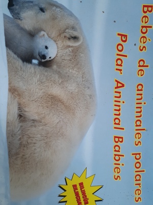 Bebés de Animales Polares Bebés de Animales Polares