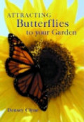 Attracting Butterflies to Your Garden Attracting Butterflies to Your Garden