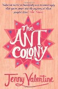 Ant Colony Ant Colony