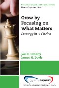 Grow by Focusing on What Matters: Competitive Strategy in 3-circles (Strategic Management Collection) Grow by Focusing on What Matters: Competitive Strategy in 3-circles (Strategic Management Collection)