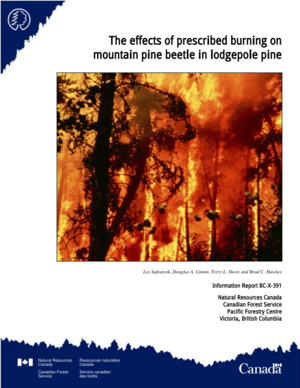 Effects of Proscribed Burning on Mountain Pine Beetle on Lodgepole Pine, The Effects of Proscribed Burning on Mountain Pine Beetle on Lodgepole Pine, The