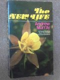 New Life New Life