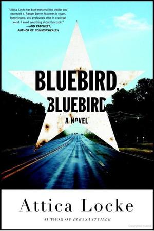 Bluebird, Bluebird Bluebird, Bluebird
