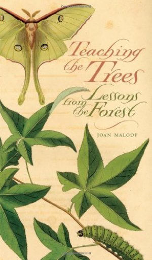 Teaching the Trees: Lessons from the Forest Teaching the Trees: Lessons from the Forest