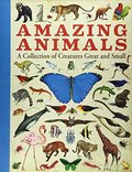 Amazing Animals: A Collection of Creatures Great and Small Amazing Animals: A Collection of Creatures Great and Small