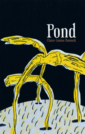 Pond Pond