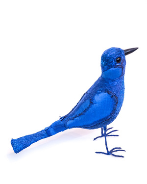 Blue Bird Blue Bird