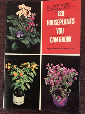 128 Houseplants You Can Grow 128 Houseplants You Can Grow