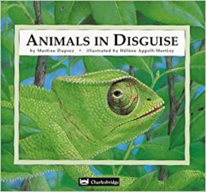 Animals In Disguise Animals In Disguise