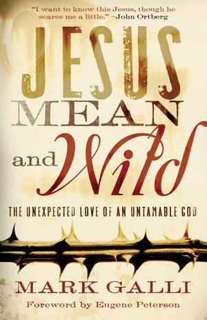 Jesus Mean and Wild Jesus Mean and Wild
