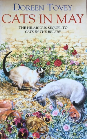 Cats in May Cats in May