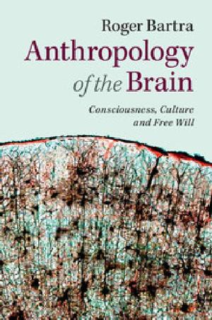 Anthropology of the Brain Anthropology of the Brain