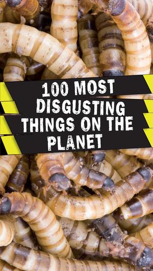100 Most Disgusting Things on the Planet 100 Most Disgusting Things on the Planet