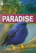 Birds in Paradise Birds in Paradise
