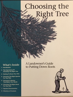 Choosing the Right Tree Choosing the Right Tree