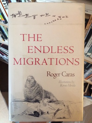 Endless Migrations, The Endless Migrations, The