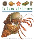 Le bord de la mer Le bord de la mer