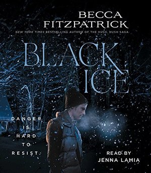 Black Ice Black Ice