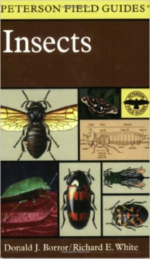 A Field Guide to Insects: America North of Mexico A Field Guide to Insects: America North of Mexico