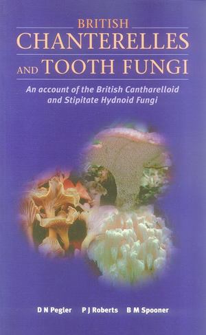 British Chanterelles and Tooth Fungi British Chanterelles and Tooth Fungi