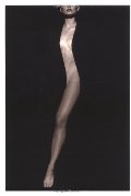 Body: Photographs of the Human Form, The Body: Photographs of the Human Form, The