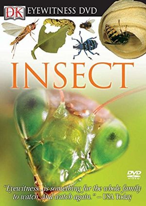 Eyewitness: Insect Eyewitness: Insect