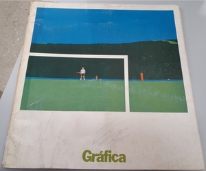 Gráfica Nº 5 Gráfica Nº 5