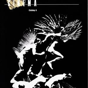 Canyon Cinema Catalogue 6 Canyon Cinema Catalogue 6