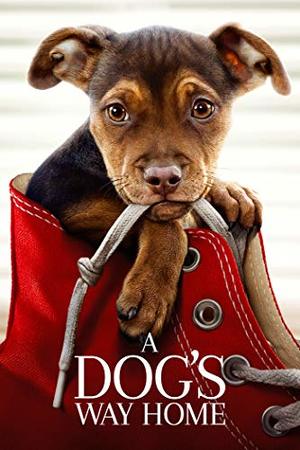 Dog's Way Home, A Dog's Way Home, A
