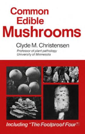 Common Edible Mushrooms Common Edible Mushrooms