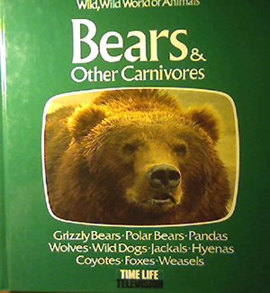 Bears & Other Carnivores (Wild, Wild World of Animals) Bears & Other Carnivores (Wild, Wild World of Animals)