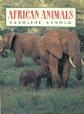 African Animals African Animals