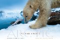 To the Arctic To the Arctic