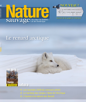 Nature sauvage Nature sauvage