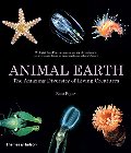 Animal Earth: The Amazing Diversity of Living Creatures Animal Earth: The Amazing Diversity of Living Creatures