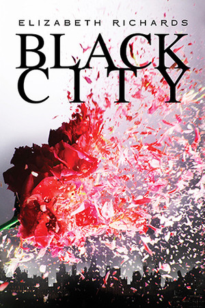 Black City (Black City Chronicles, Book 1) Black City (Black City Chronicles, Book 1)