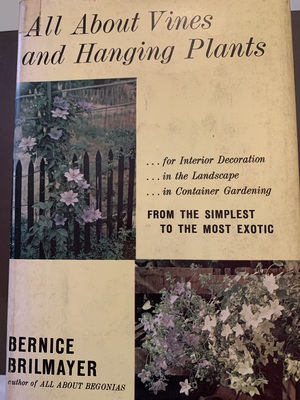 All About Vines and Hanging Plants All About Vines and Hanging Plants