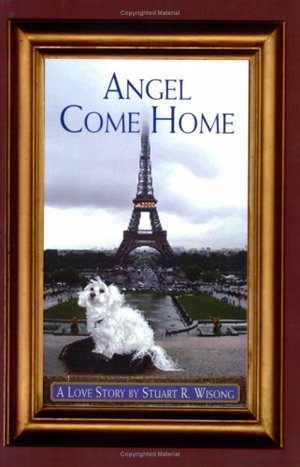 Angel Come Home (foyer) Angel Come Home (foyer)