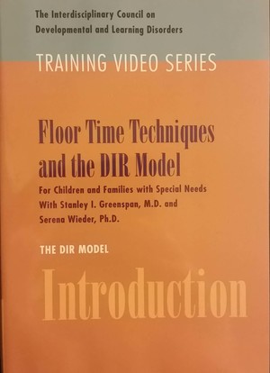 DIR Model: Introduction DIR Model: Introduction