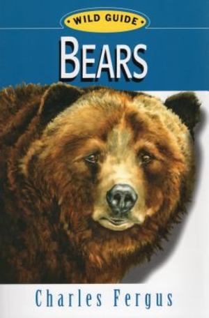 Bears Bears