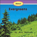About Evergreens About Evergreens
