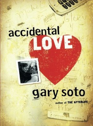 Accidental Love Accidental Love