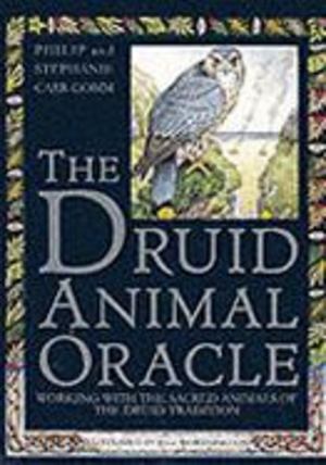 Druid Animal Oracle Druid Animal Oracle