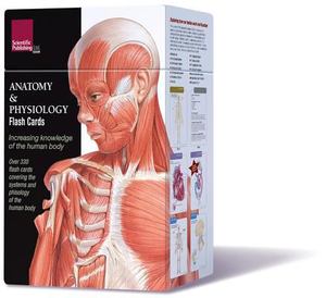 Anatomy and Physiology Flash Cards Anatomy and Physiology Flash Cards