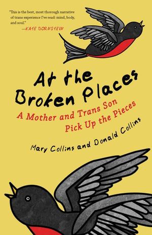 At the Broken Places At the Broken Places
