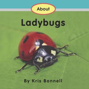 About Ladybugs About Ladybugs