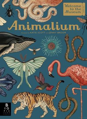 Animalium Animalium