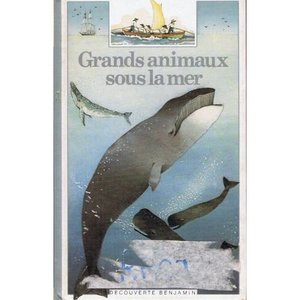 Grands animaux sous la mer Grands animaux sous la mer