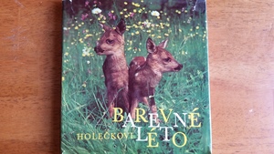 Barevné léto Barevné léto