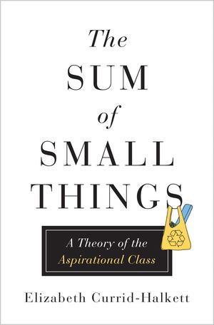 Sum of Small Things - A Theory of the Aspirational Class, The Sum of Small Things - A Theory of the Aspirational Class, The